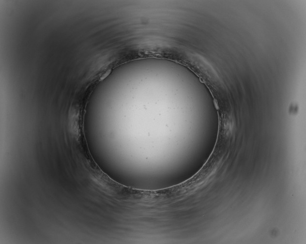 X0000103271060200809051502