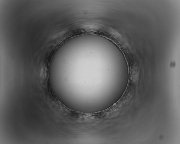 X0000103271061200809051502