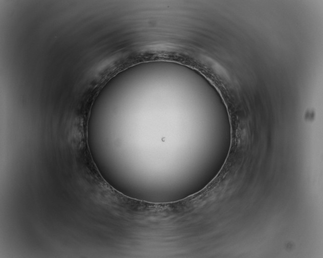 X0000103271062200809051502