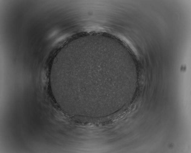 X0000103271063200809051502
