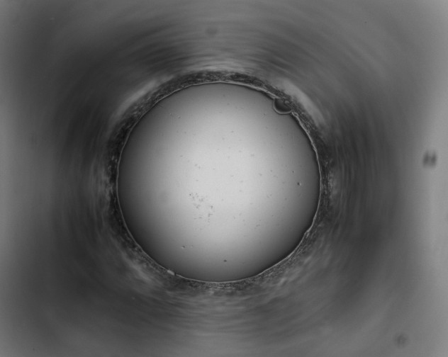 X0000103271064200809051502