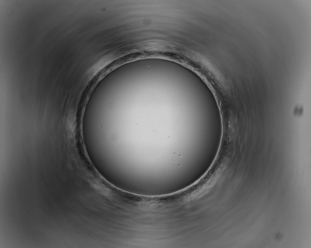 X0000103271065200809051501