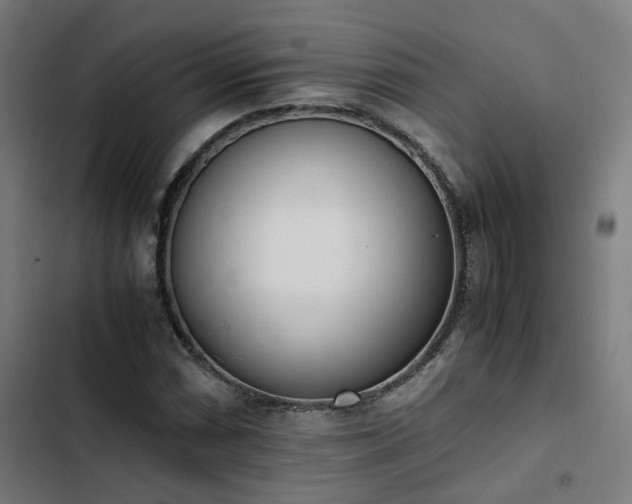 X0000103271066200809051501