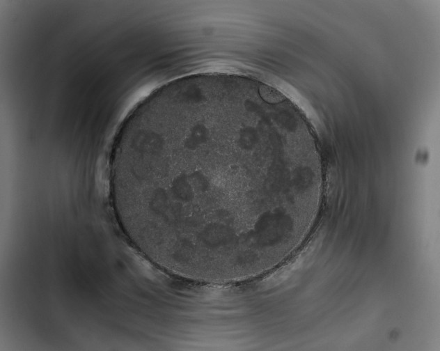 X0000103271067200809051501