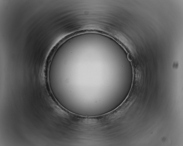 X0000103271068200809051501