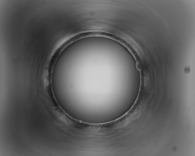 X0000103271069200809051501