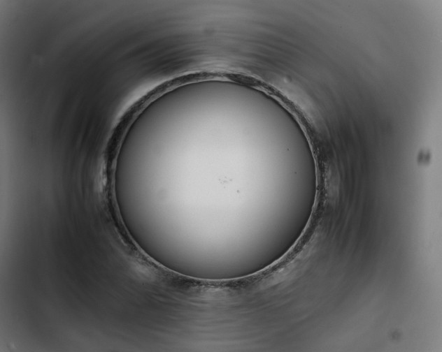 X0000103271070200809051501