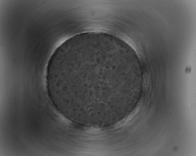 X0000103271071200809051501
