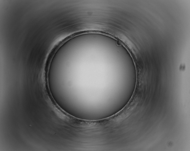X0000103271072200809051501