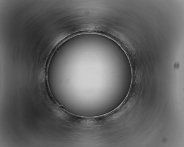 X0000103271073200809051501