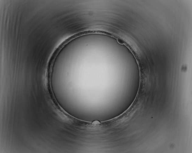 X0000103271076200809051501