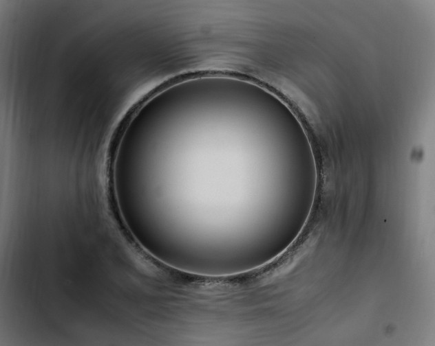 X0000103271077200809051501