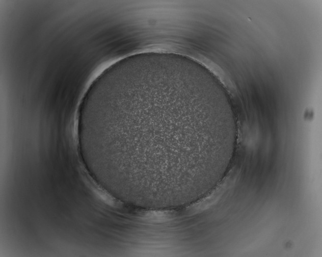 X0000103271078200809051501