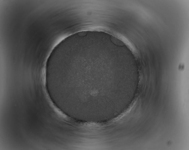 X0000103271079200809051501
