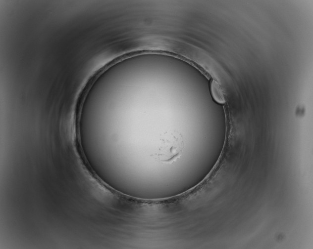 X0000103271080200809051501