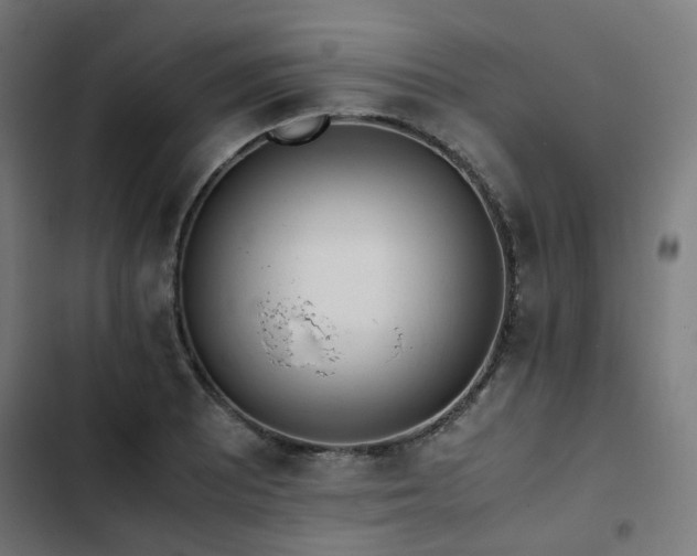 X0000103271081200809051501