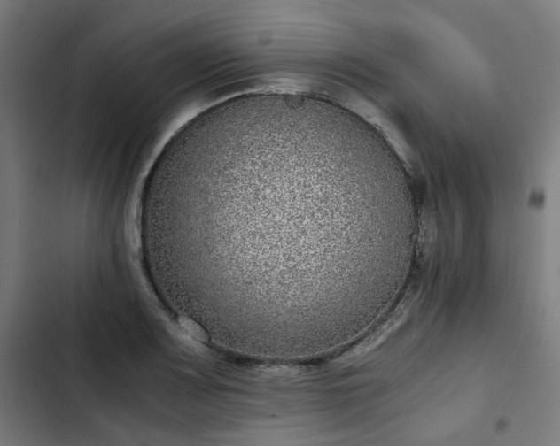 X0000103271083200809051501