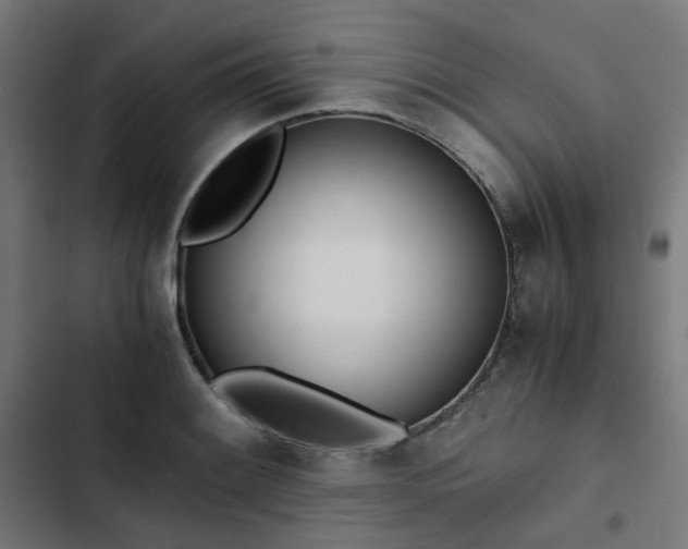 X0000103271084200809051501