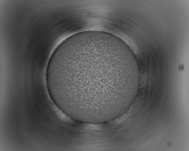 X0000103271086200809051501