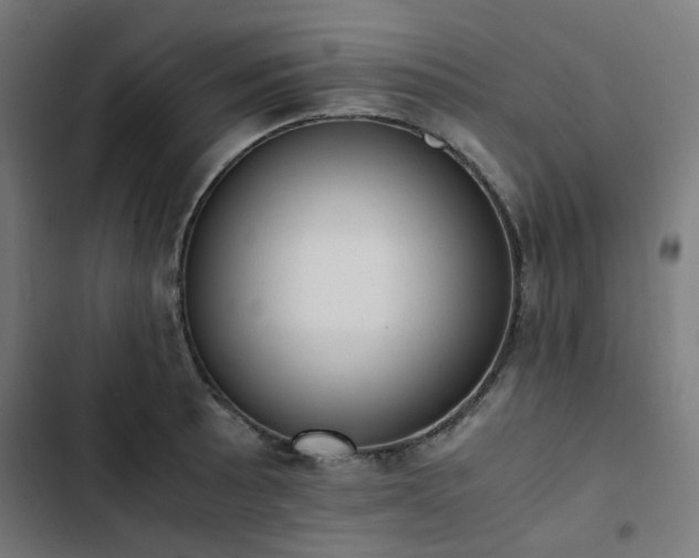 X0000103271089200809051501