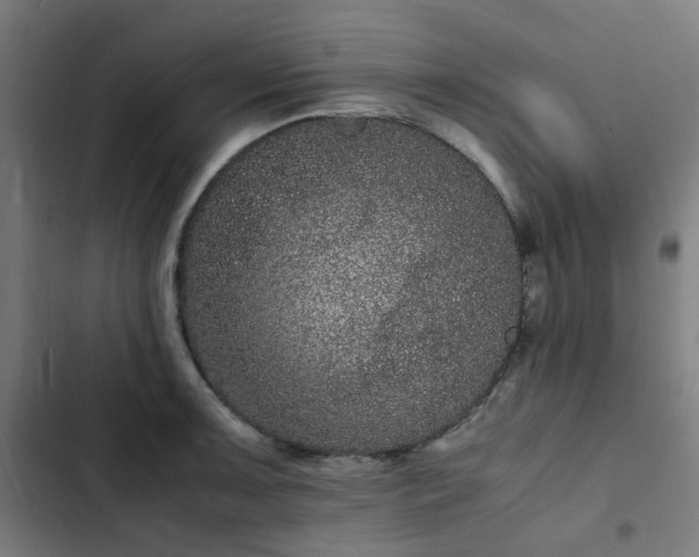 X0000103271091200809051501
