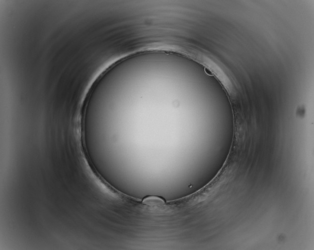 X0000103271092200809051501