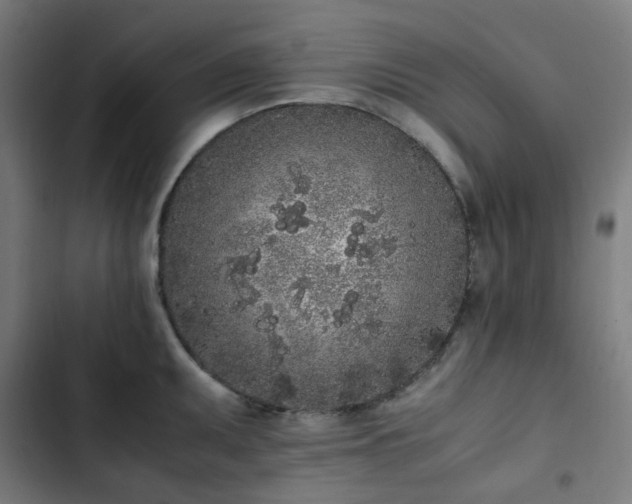 X0000103271095200809051501