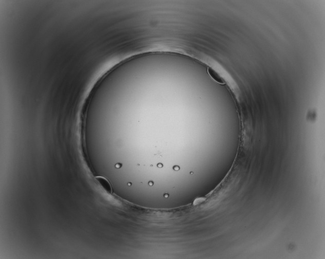 X0000103271096200809051501