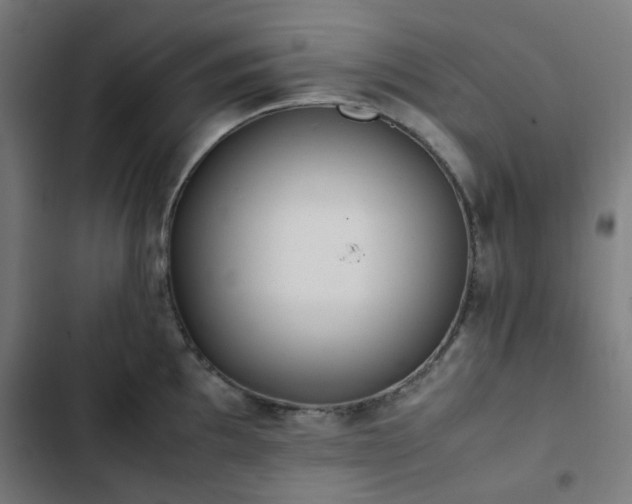 X0000103271097200809051501