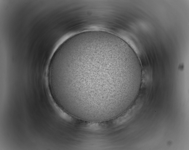 X0000103271098200809051501