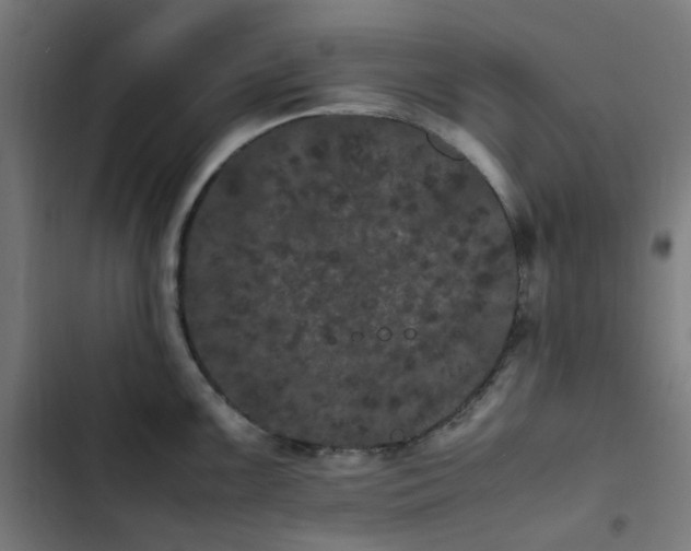 X0000103271099200809051501