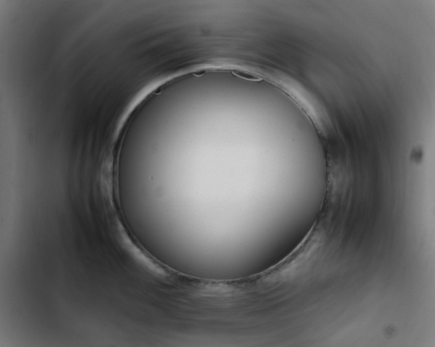 X0000103271100200809051501