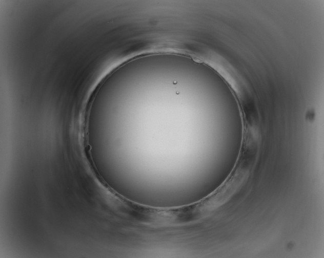 X0000103271101200809051501