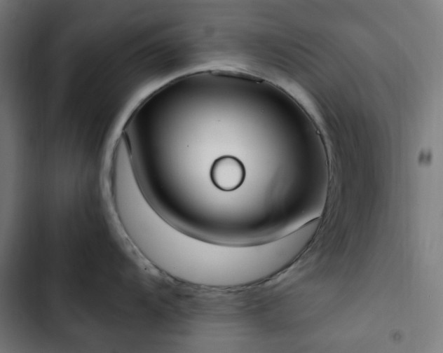 X0000103271104200809051501