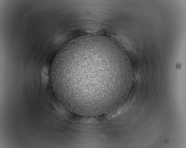 X0000103271106200809051500