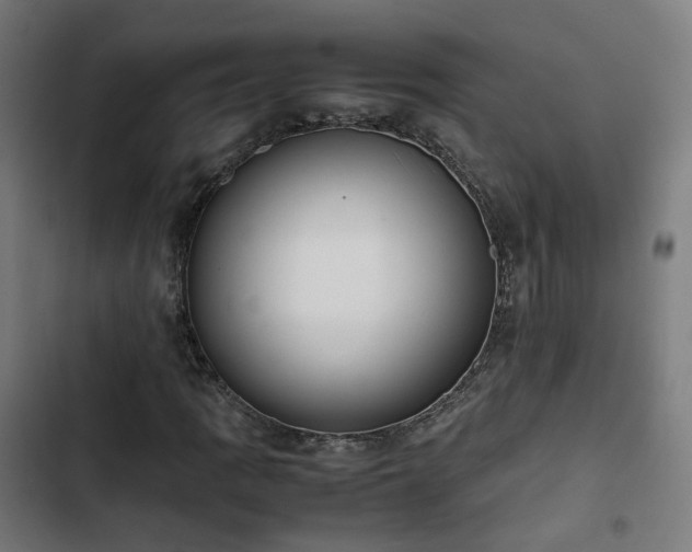 X0000103271109200809051500