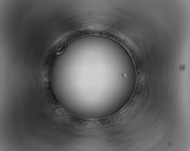 X0000103271110200809051500