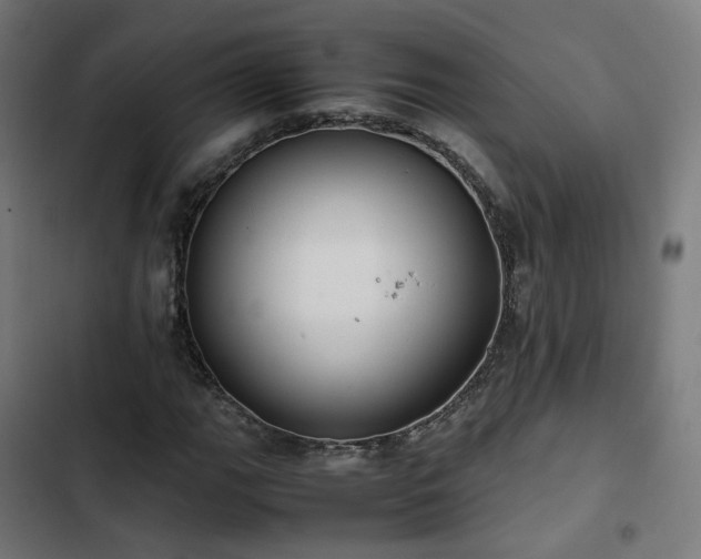 X0000103271111200809051500