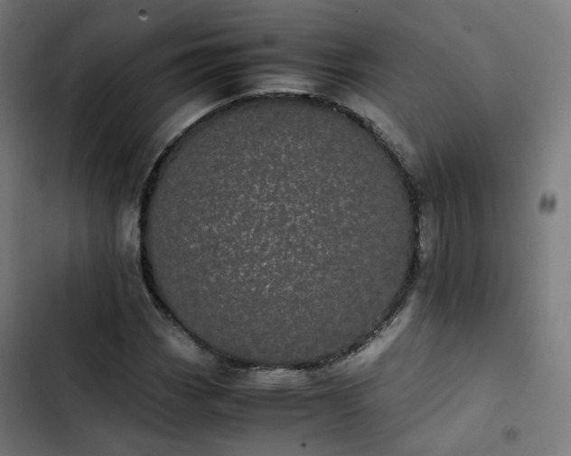 X0000103271113200809051500