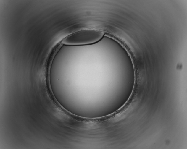 X0000103271114200809051500