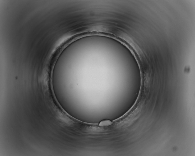 X0000103271115200809051500