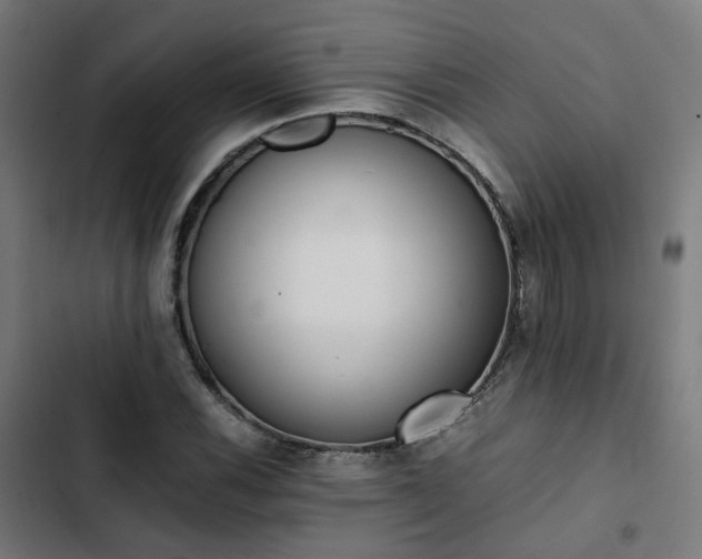 X0000103271116200809051500