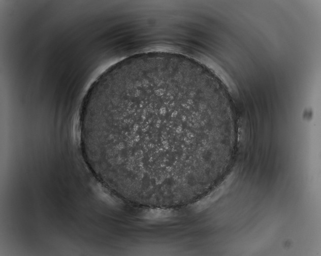 X0000103271117200809051500