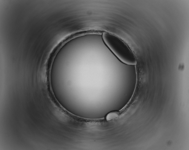 X0000103271118200809051500