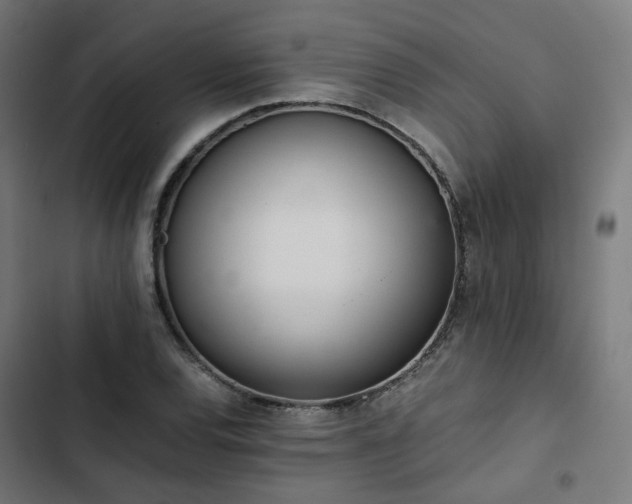 X0000103271120200809051500