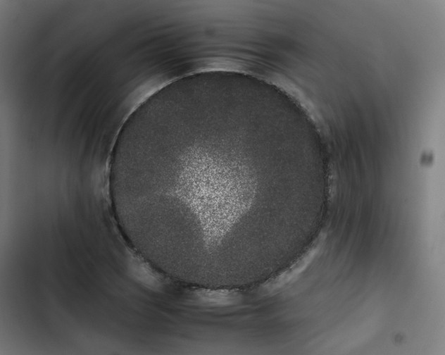 X0000103271121200809051500