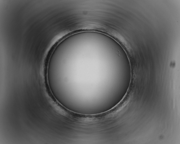 X0000103271122200809051500