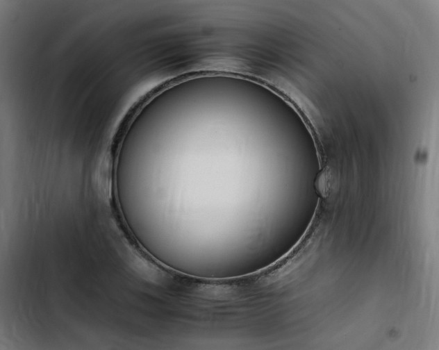 X0000103271123200809051501