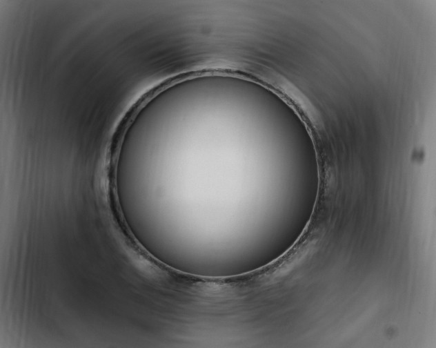 X0000103271124200809051501