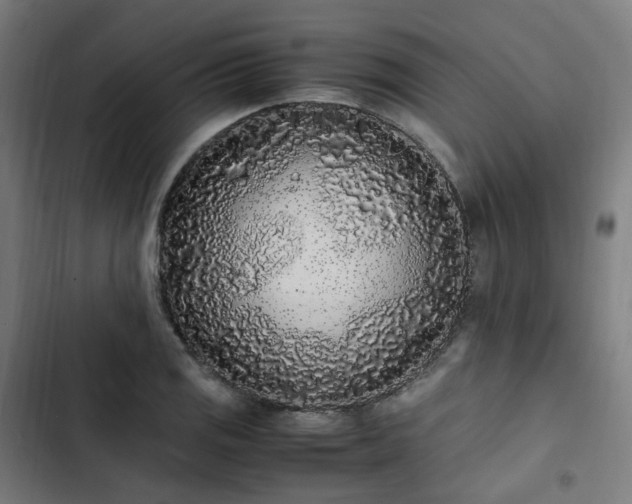 X0000103271125200809051501